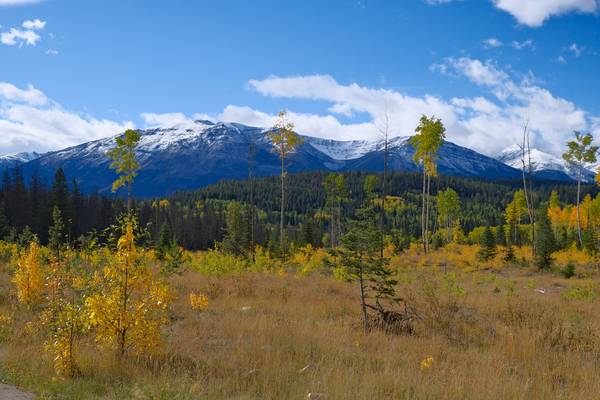 Jasper - Tourism Jasper - Doets Reizen - Alberta - Canada