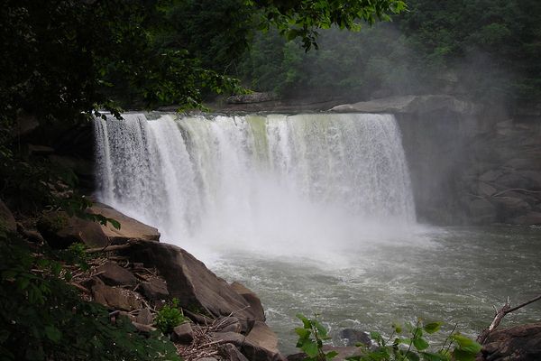 Daniel Boone National Forest - Kentucky - Amerika - Doets Reizen
