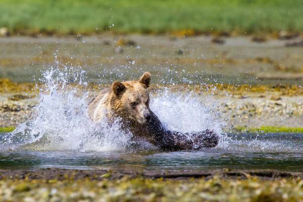 Tide Rip Tours - Telegraph Cove - Vancouver Island - British Columbia - Canada - Doets Reizen
