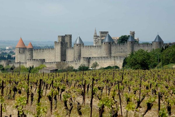 Carcassonne | Doets Reizen | Frankrijk | Occitanie