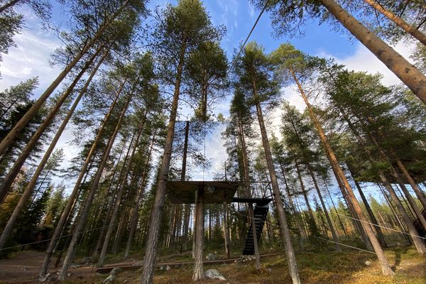Elske Doets in Zweden - Treehotel Zweden - Treehotel Sweden - Treehotel - Vakantie Zweden - Doets Reizen