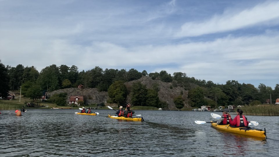 FAM Trip - Archipel - Stockholm - Zweden - Doets Reizen (2)