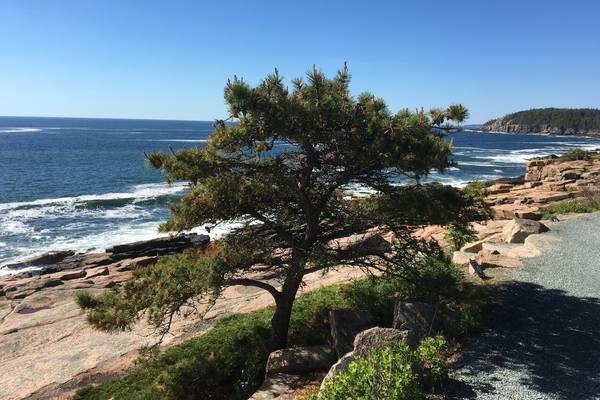 Acadia National Park - Maine - Amerika - Doets Reizen