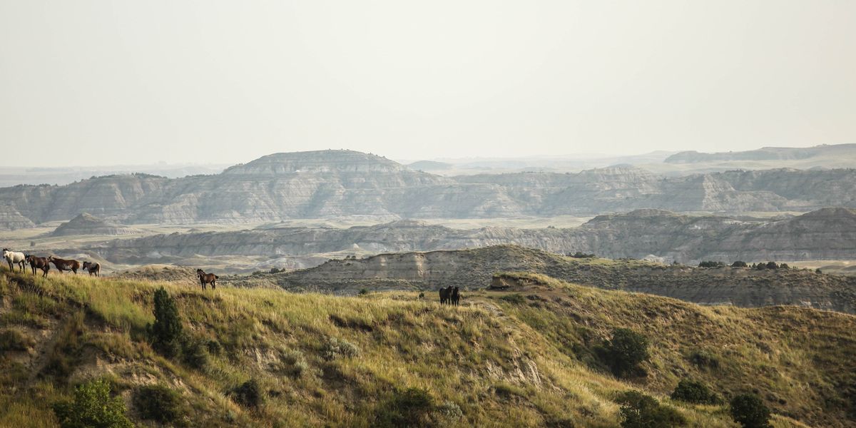 Theodore Roosevelt National Park - North Dakota - Amerika - Doets Reizen