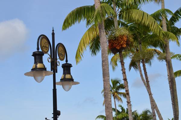 Naples - Florida - Doets Reizen