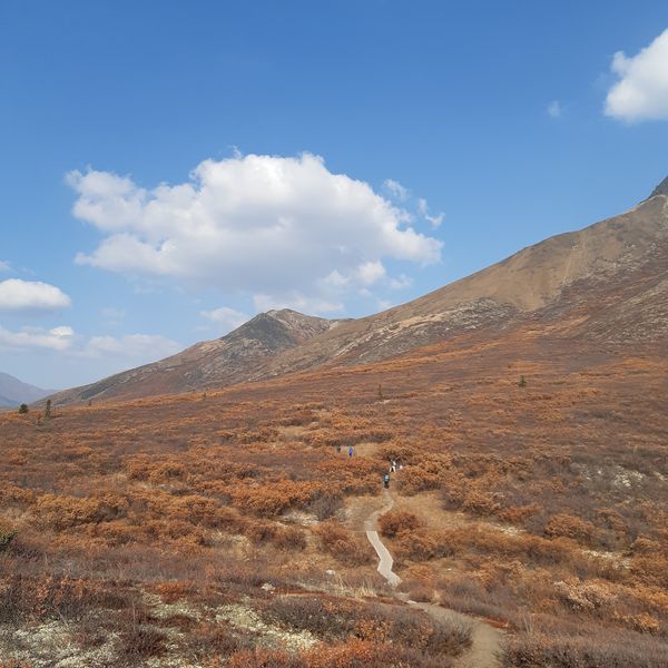 Goldensdies Hike - Tombstone Territorial Park - Yukon - Canada - Doets Reizen