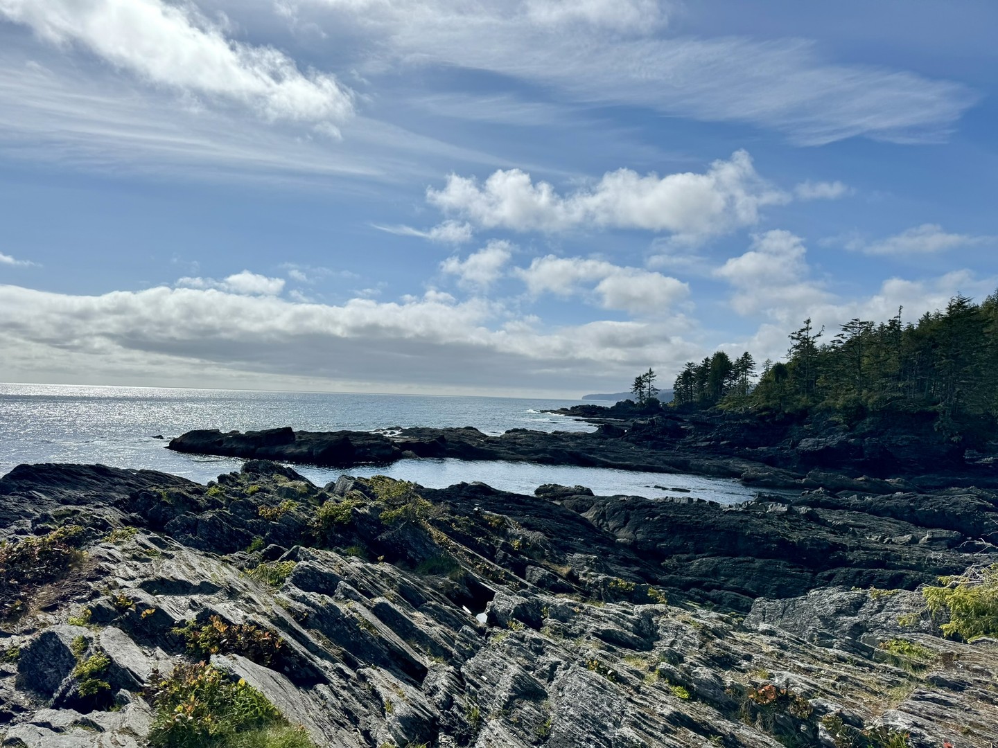 Port Renfrew - Botanical Beach - Vancouver Island - Canada - Doets Reizen
