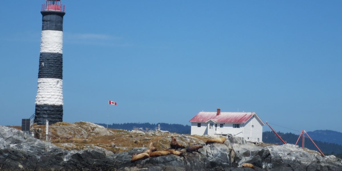 Orka's spotten Victoria - Vancouver Island - British Columbia - Canada - Doets Reizen