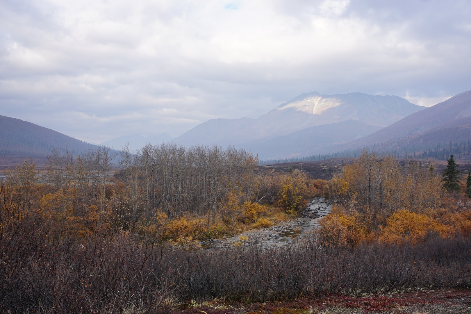 Tombstone Territorial Park - Yukon - Canada - Doets Reizen