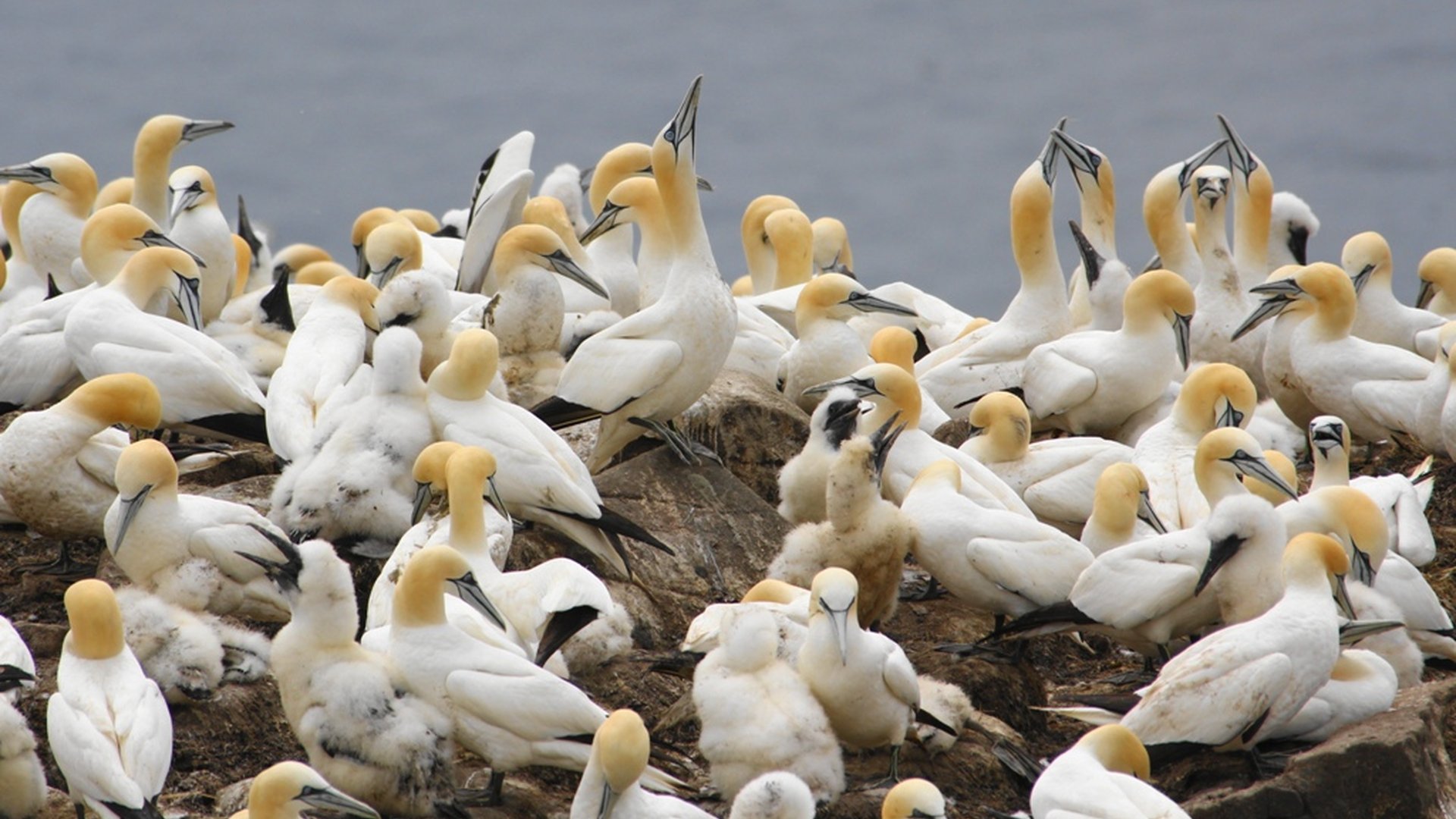 Forillon National Park - Quebec - Canada - Doets Reizen