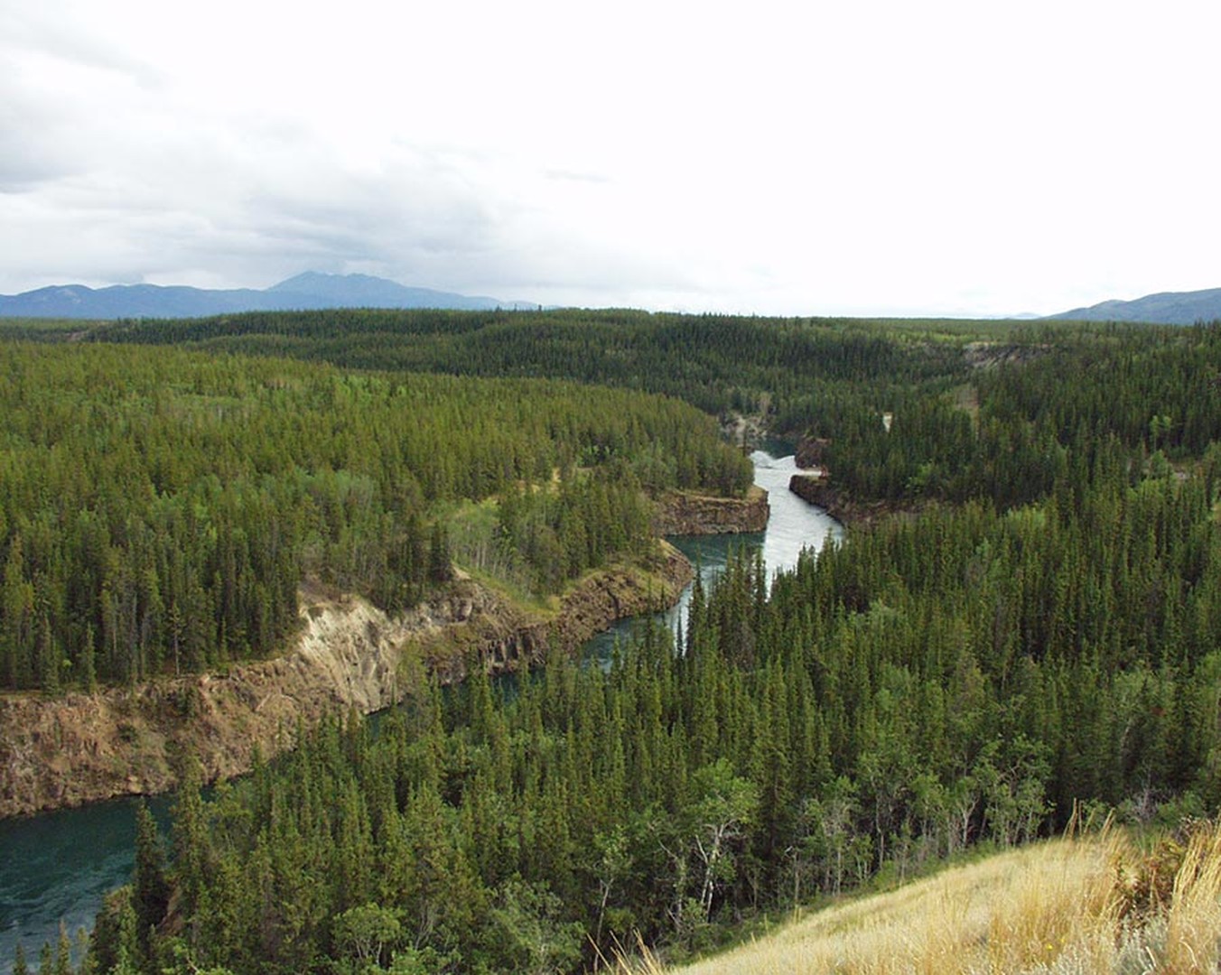Kamperen Whitehorse - Yukon - Canada - Doets Reizen