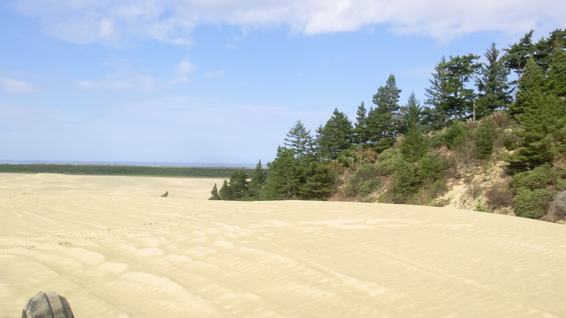 Sand Dunes - Florence - Oregon - Doets Reizen