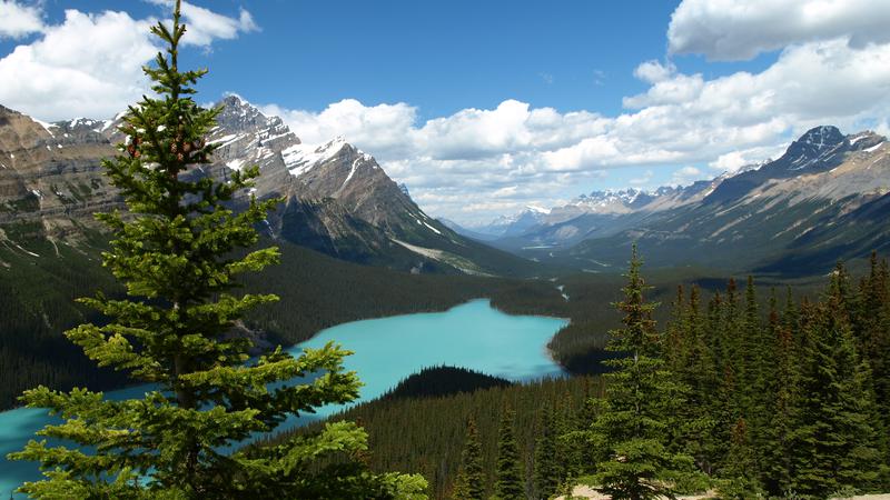 Gratis aansluiting website Canada