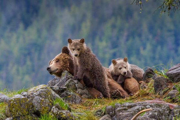 Tide Rip Tours - Telegraph Cove - Vancouver Island - British Columbia - Canada - Doets Reizen