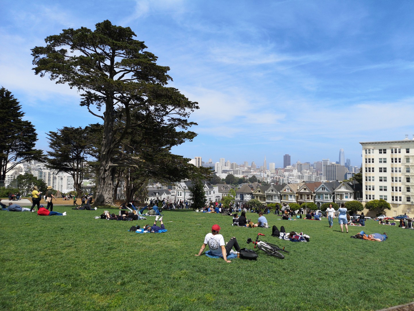 Alamo Square Park - San Francisco - California - Amerika - Doets Reizen