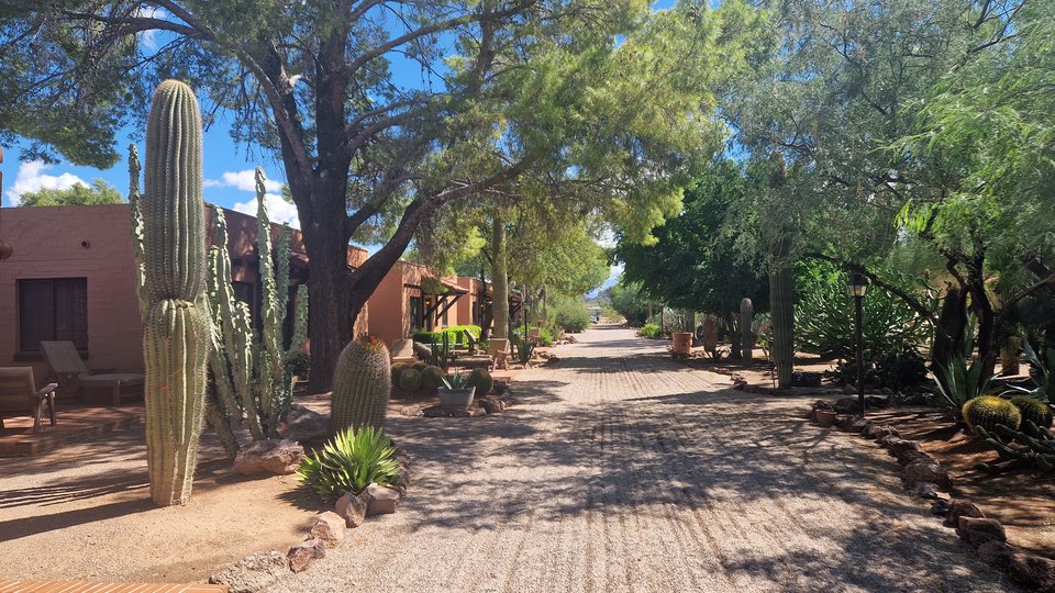 Doets Reizen - White Stallion Ranch - Tucson - camperreis Amerika (11)