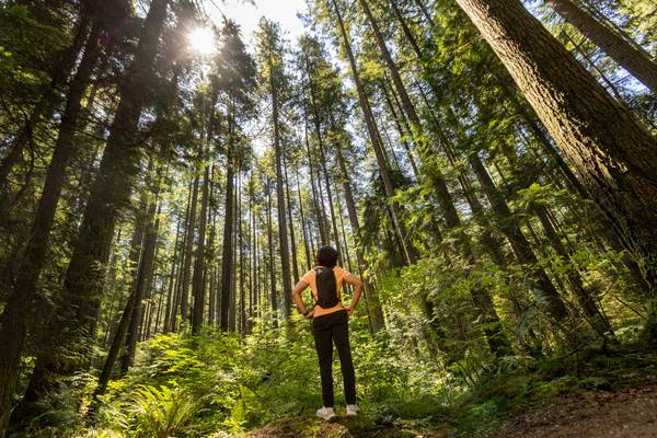 Vancouver - Vancouver Coast - VRX Studios - Doets Reizen