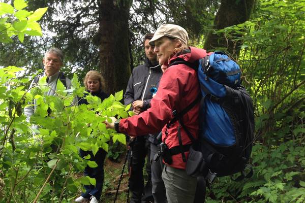 Knight Inlet Lodge - British Columbia - Canada - Doets Reizen