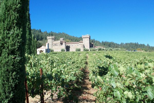 Napa Valley - California - Amerika - Doets Reizen