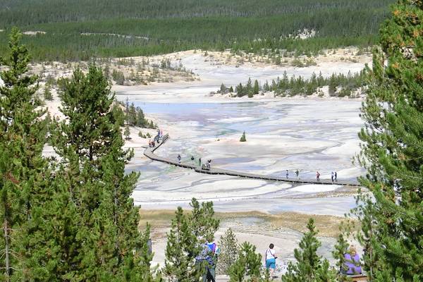 Yellowstone National Park - Wyoming - Doets Reizen