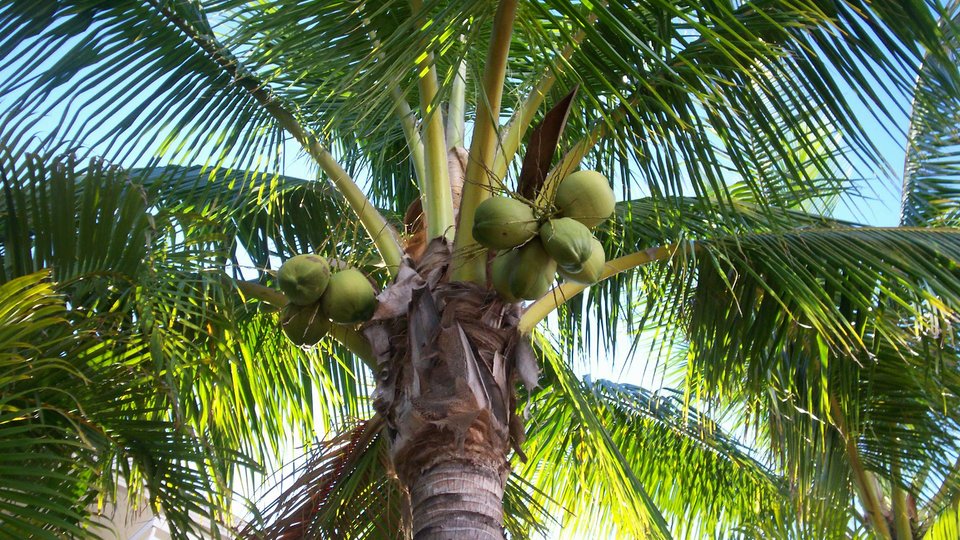 Strand Florida - Doets Reizen