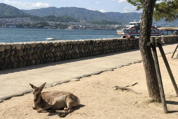 Miyajima - Japan - Doets Reizen