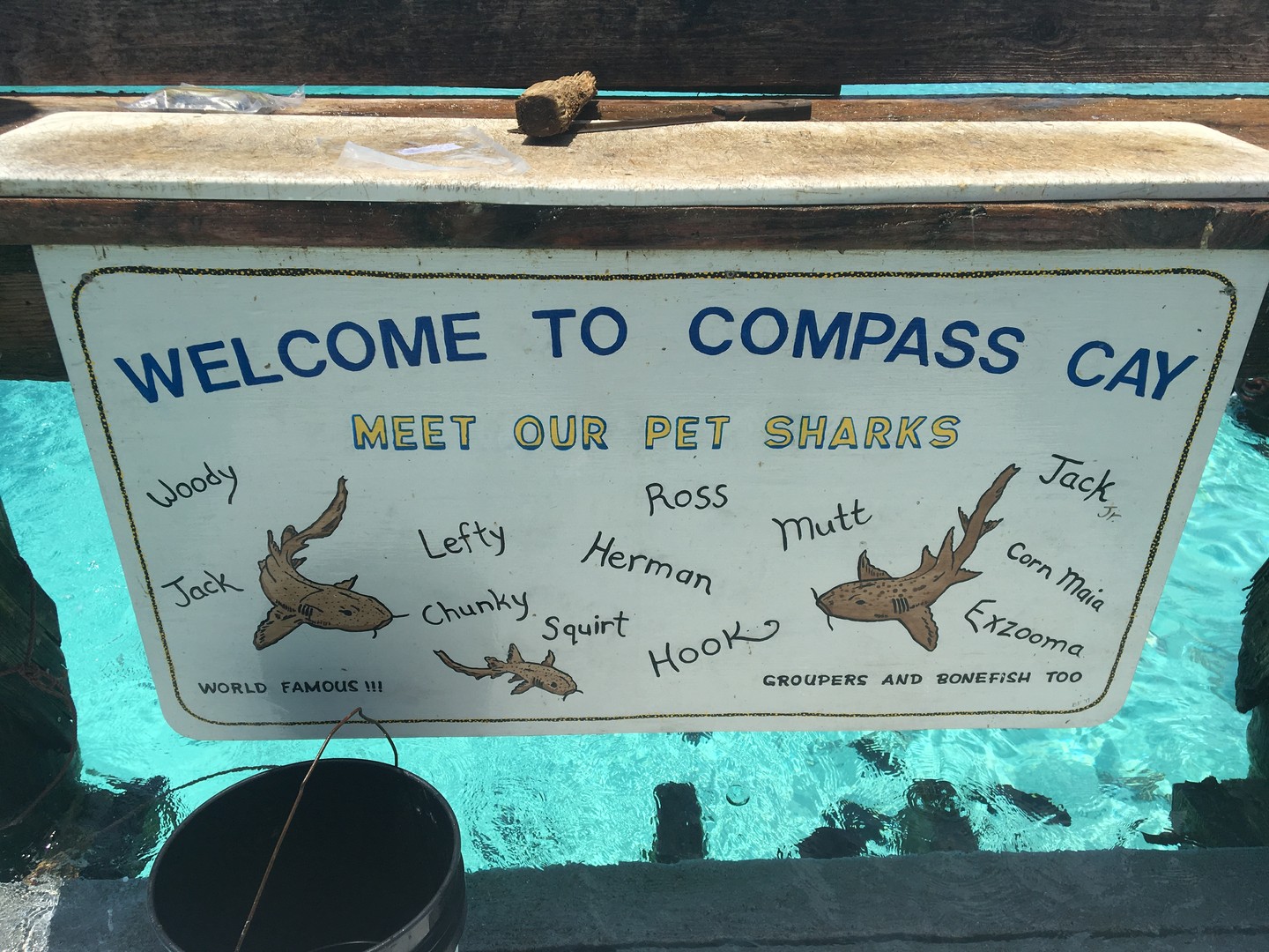 Great Exuma - Cruise Bahamas - Cruisevakantie - Doets Reizen