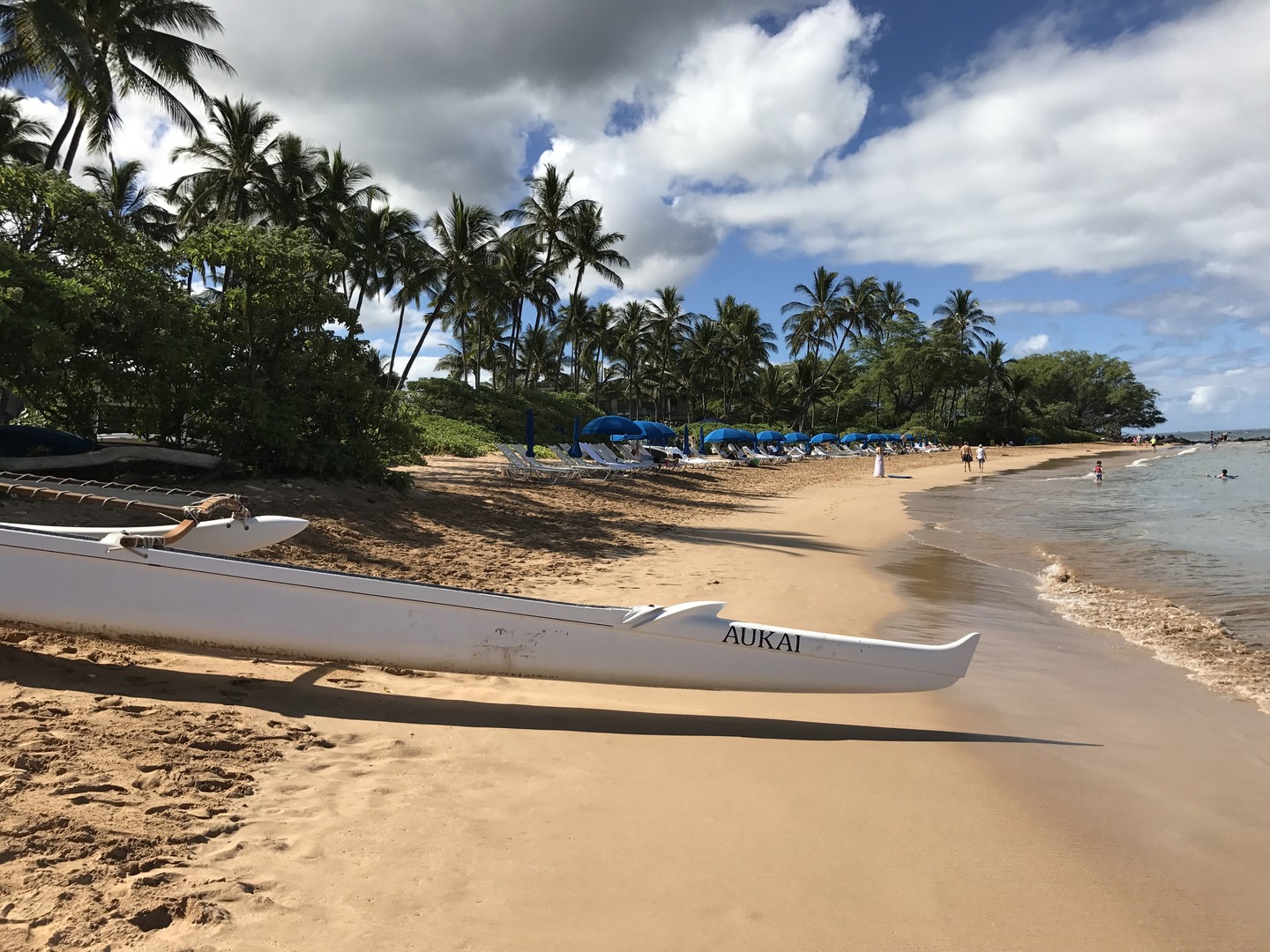 Big Beach - Maui - Hawaii - Doets Reizen