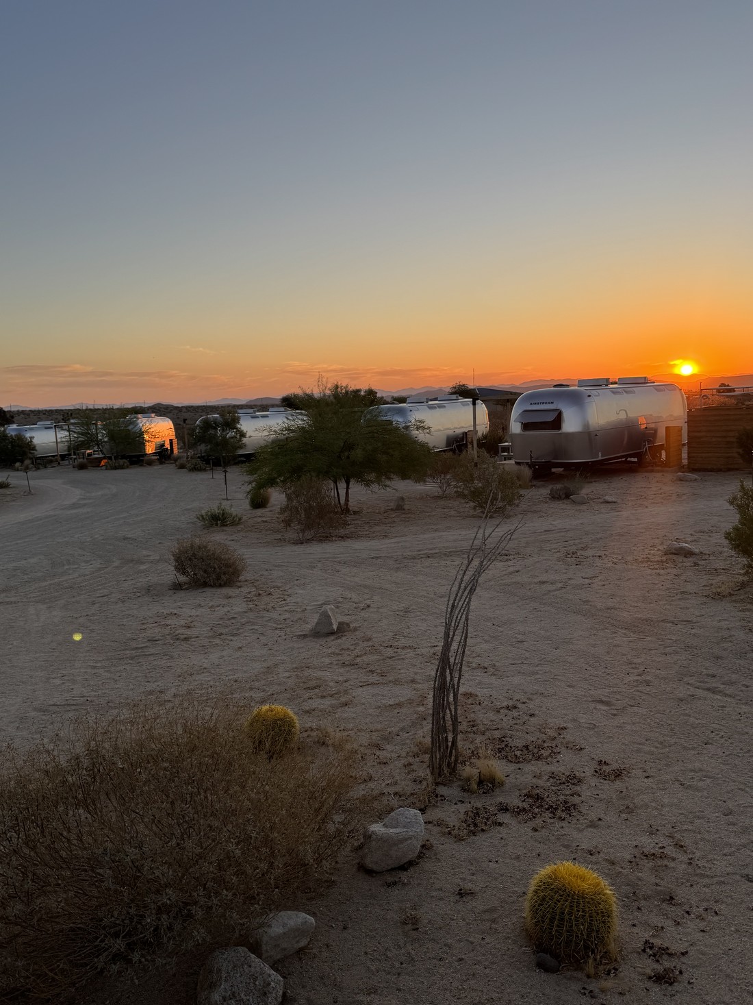 Joshua Tree Camper camping