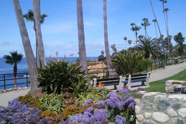 Laguna Beach - Los Angeles - California - Amerika - Doets Reizen