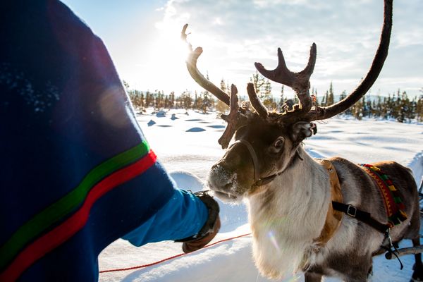 Sami Jukkasjärvi - Doets Reizen - Vakantie Zweden - Credit Visit Sweden (2)