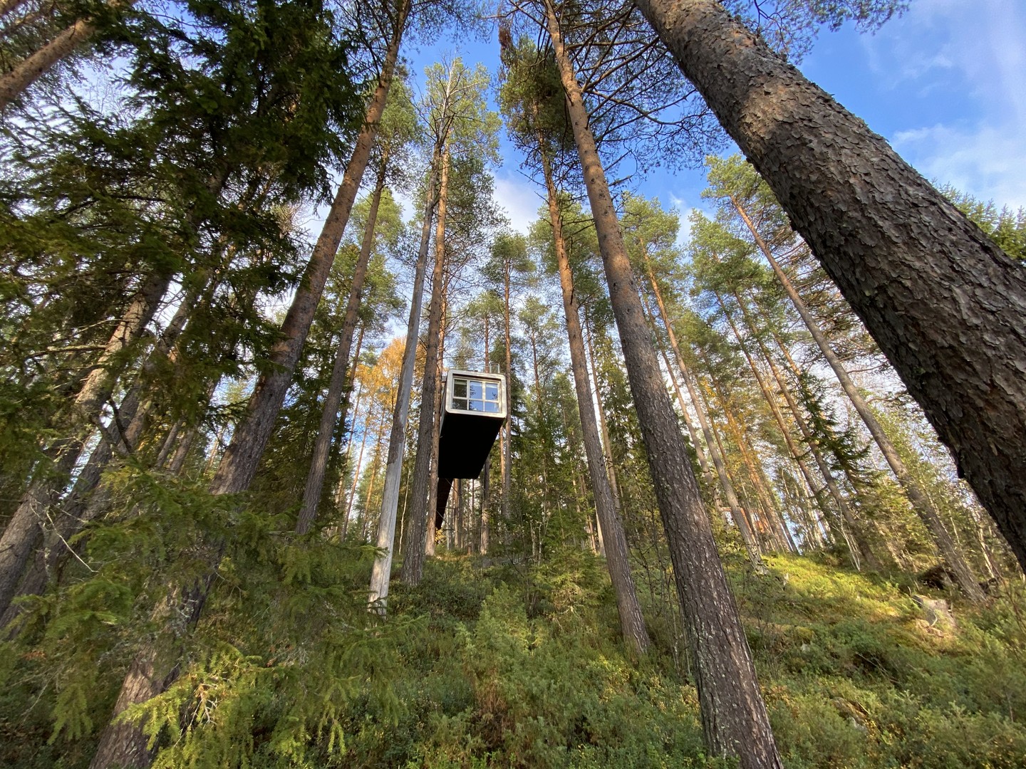 Elske Doets in Zweden - Treehotel Zweden - Treehotel Sweden - Treehotel - Vakantie Zweden - Doets Reizen