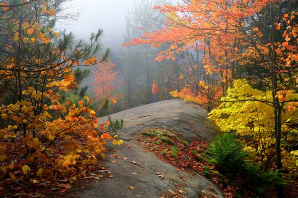 Algonquin Provincial Park - Ontario - Canada - Doets Reizen