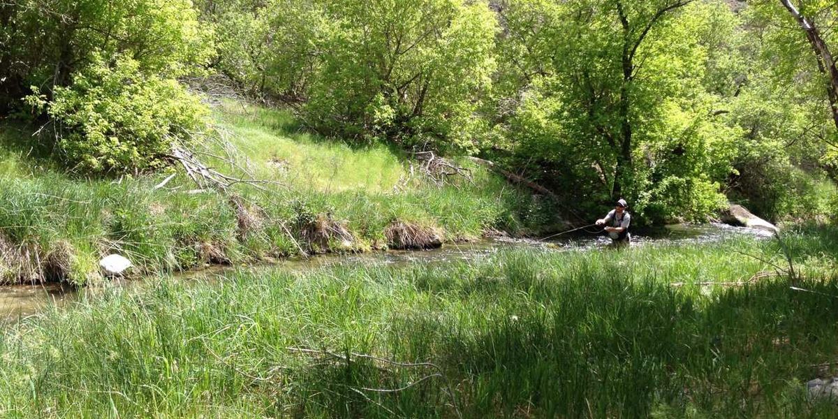 Ashley National Forest - Utah - Doets Reizen