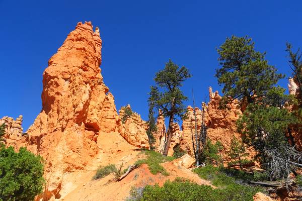 ​Bryce Canyon National Park - Utah - Doets Reizen