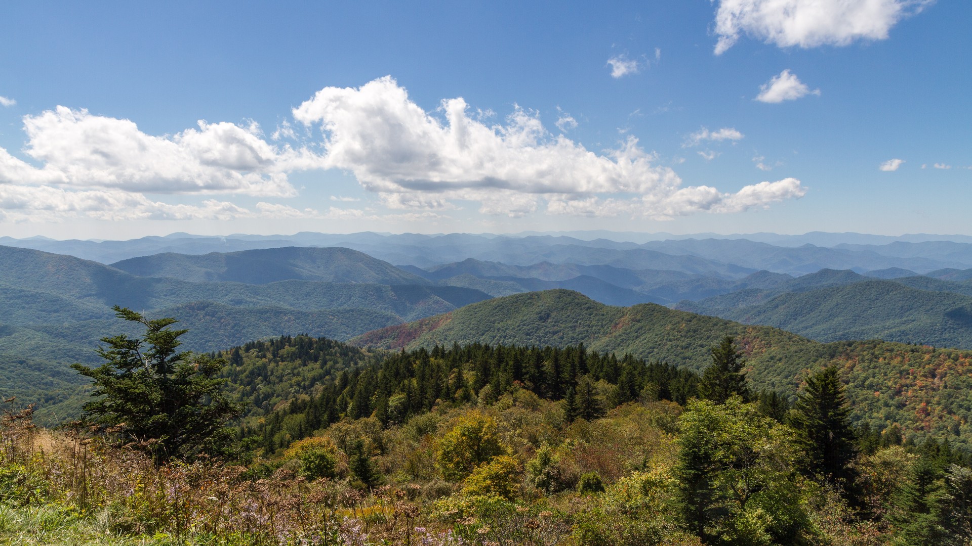 Great Smokey Mountains National Park - Tennessee - Amerika - Doets Reizen