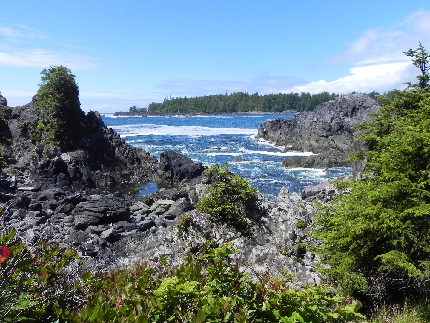 Pacific Rim National Park - Vancouver Island - British Columbia - Canada - Doets Reizen
