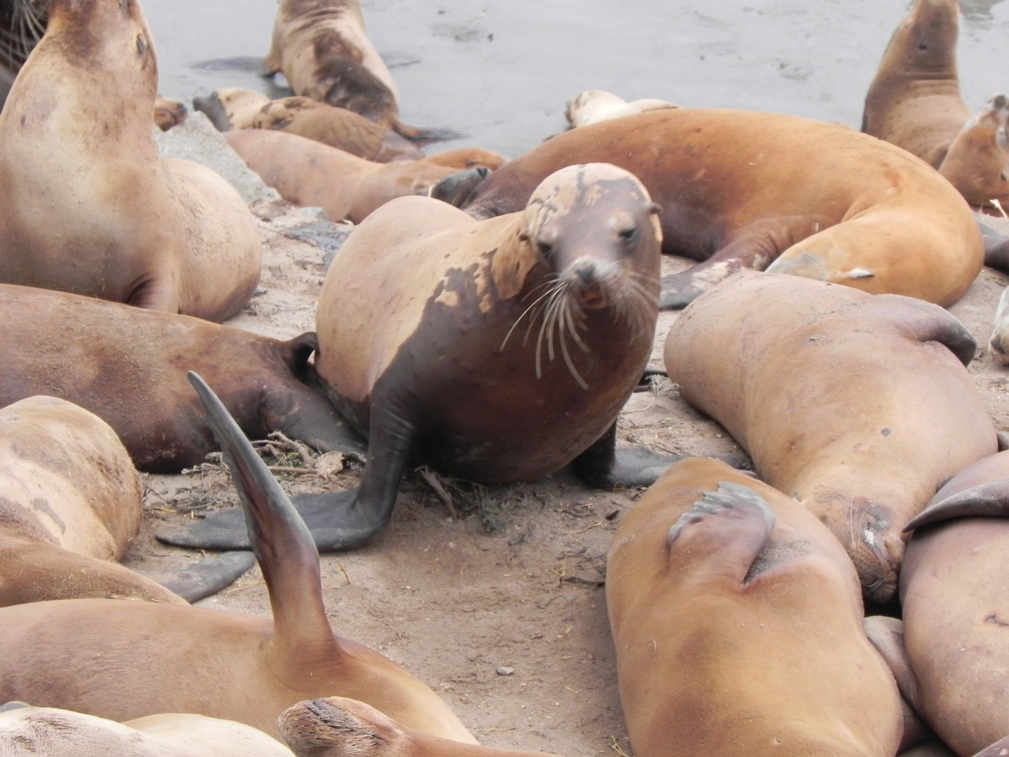 Monterey - California - Amerika - Doets Reizen