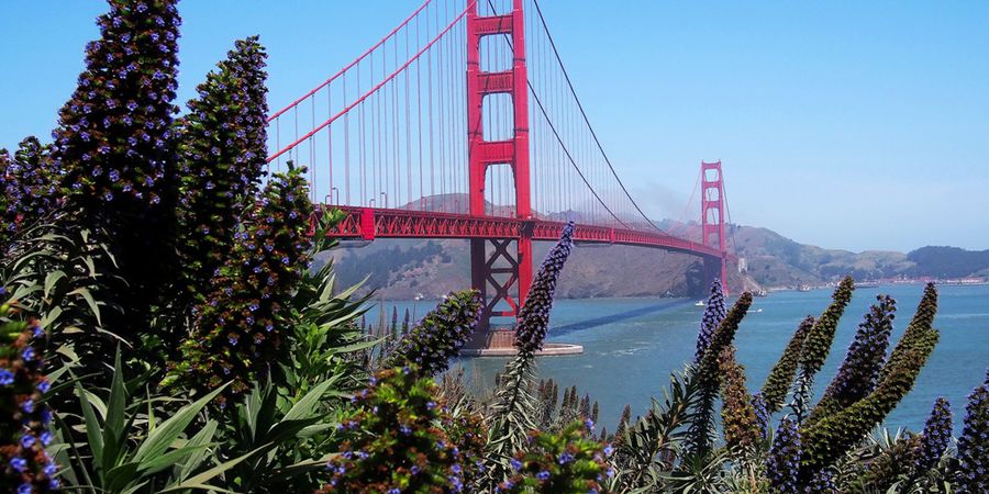 San Francisco - California - Amerika - Doets Reizen