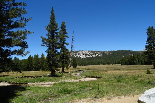 Tioga Pass - Yosemite National Park - California - Doets Reizen