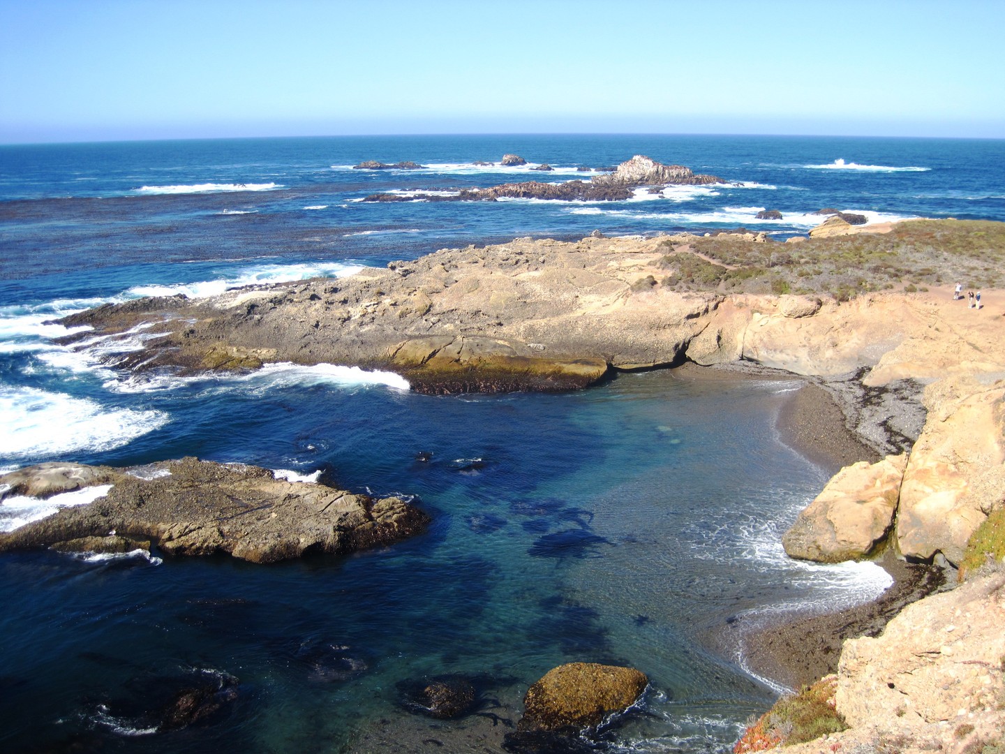 Point Lobos - California - Amerika - Doets Reizen