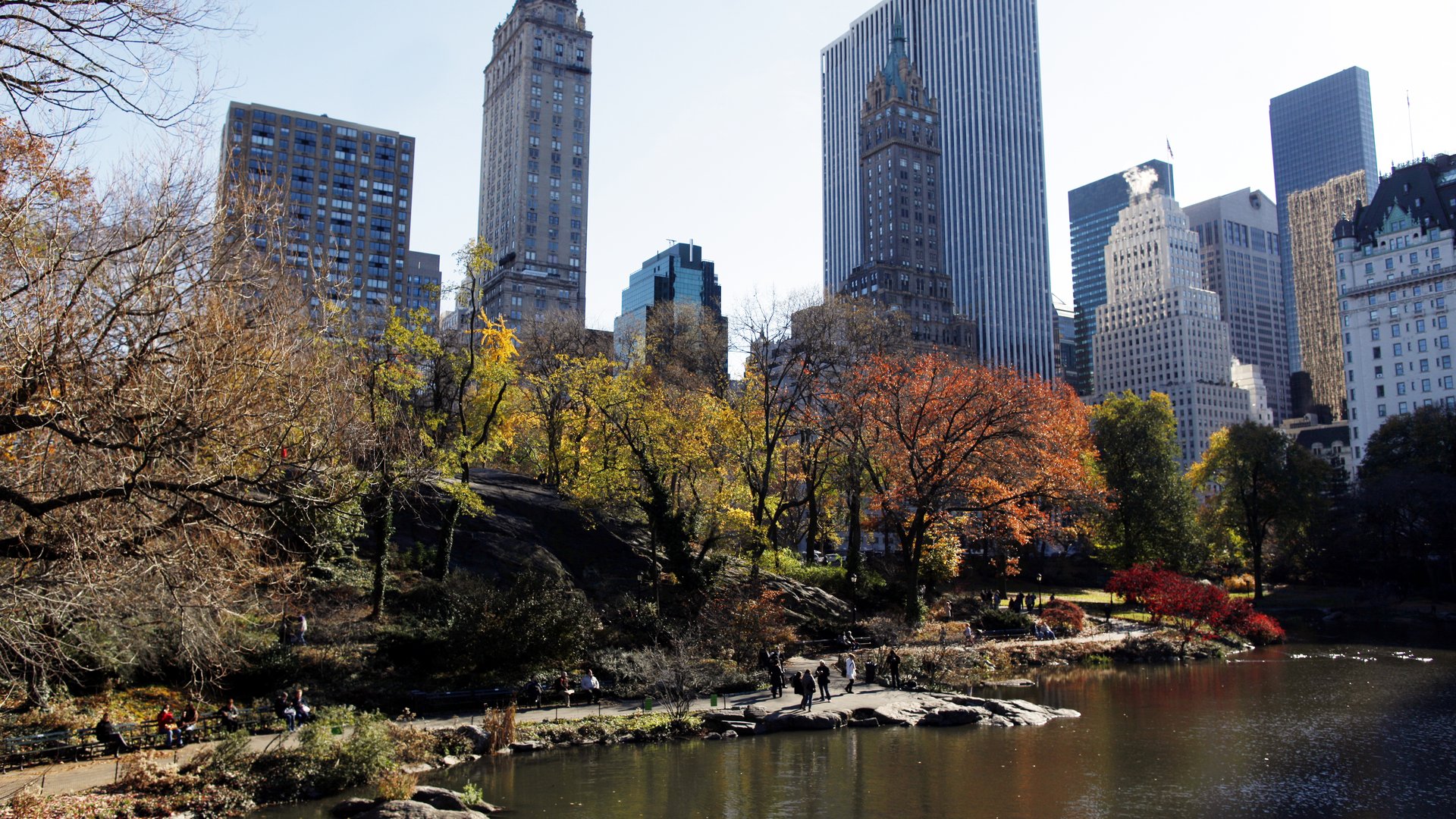 Central Park in New York