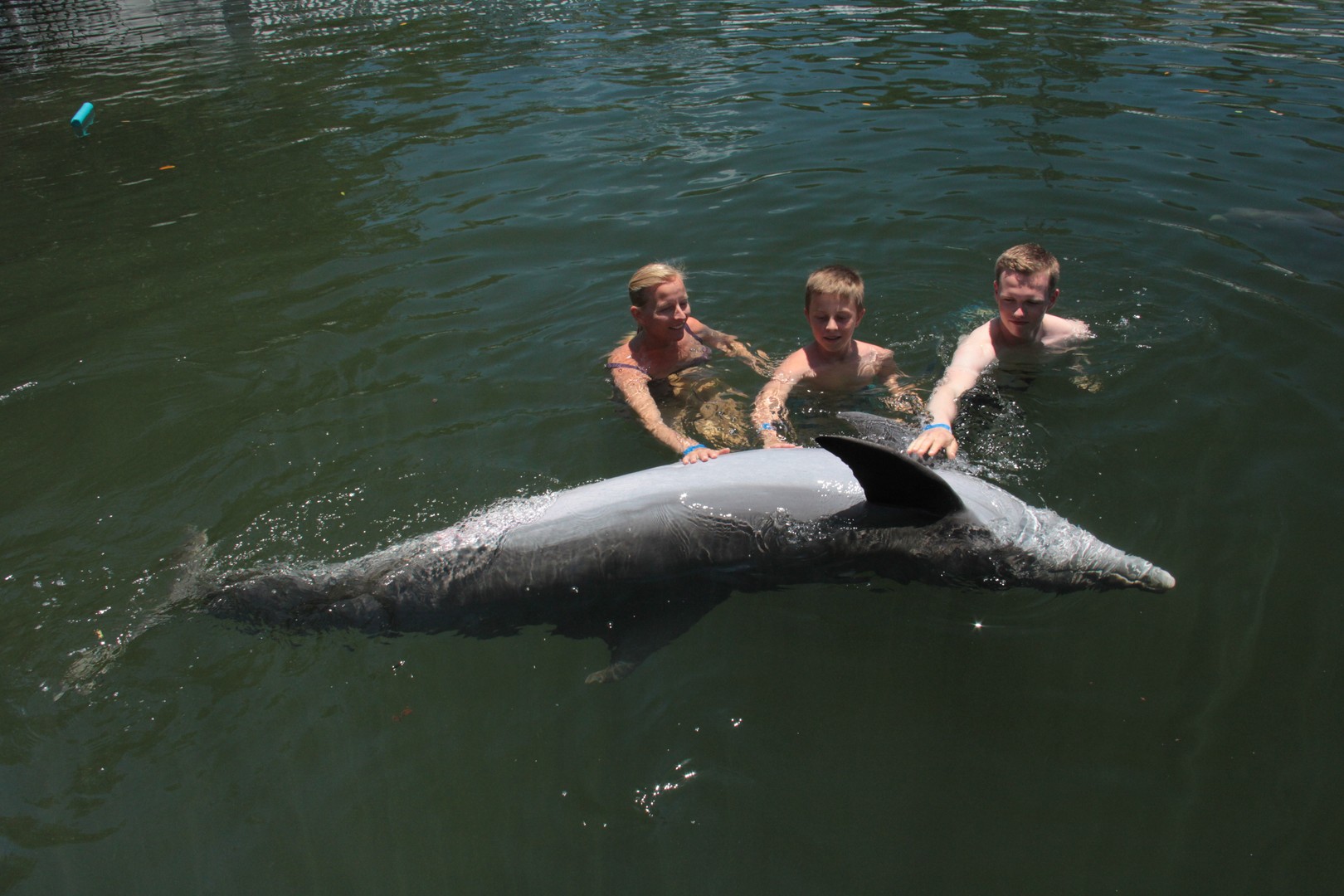 Theater of the Sea - Islamorada - The Keys - Florida - Doets Reizen