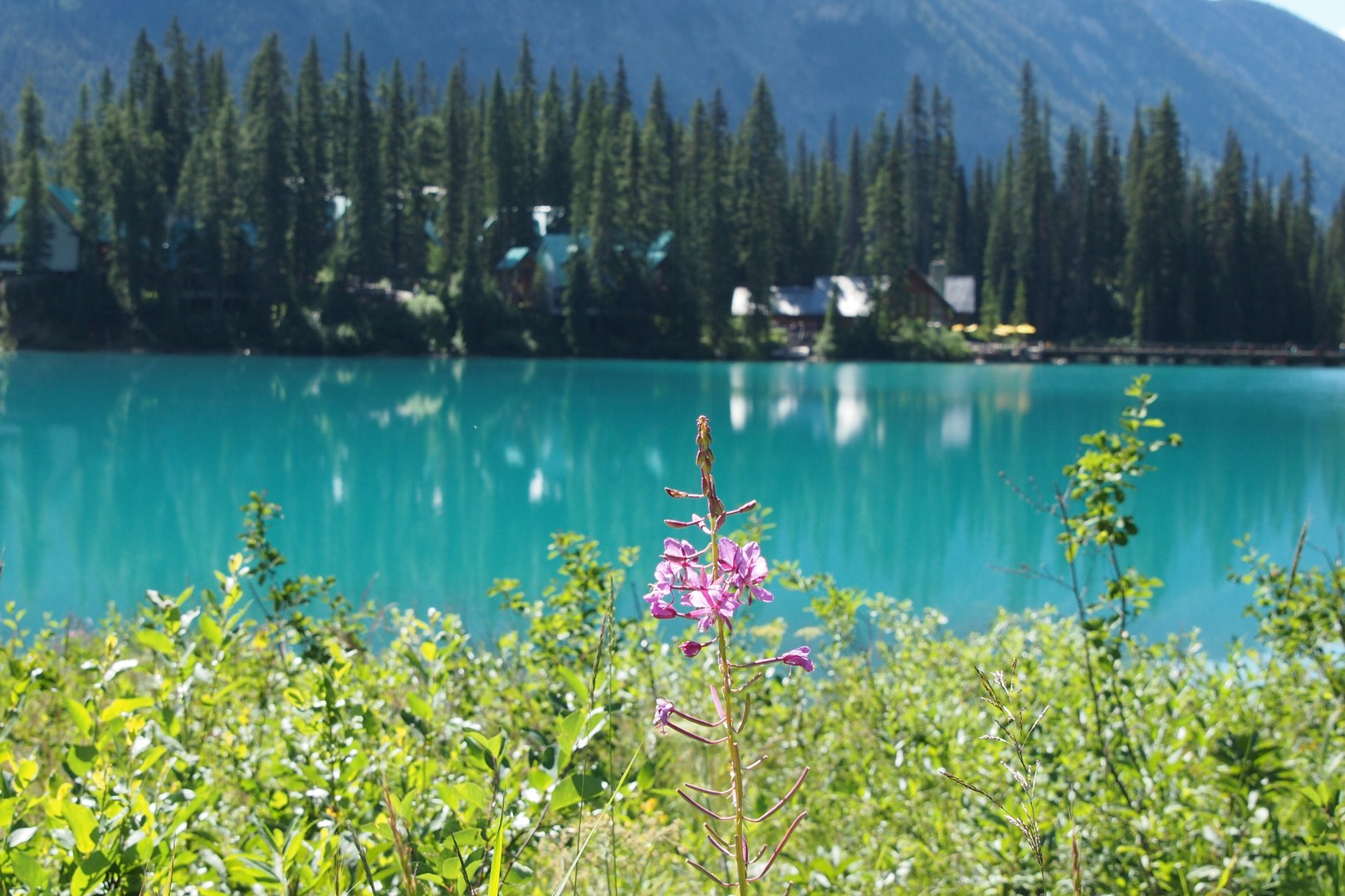 Emerald Lake - Yoho National Park - British Columbia - Canada - Doets Reizen