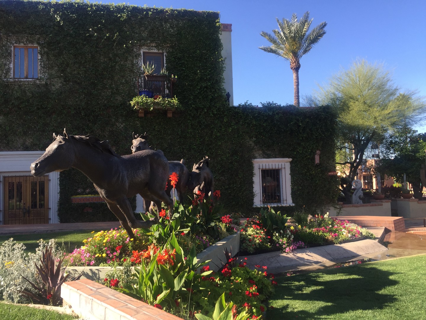 Scottsdale - Arizona - Doets Reizen