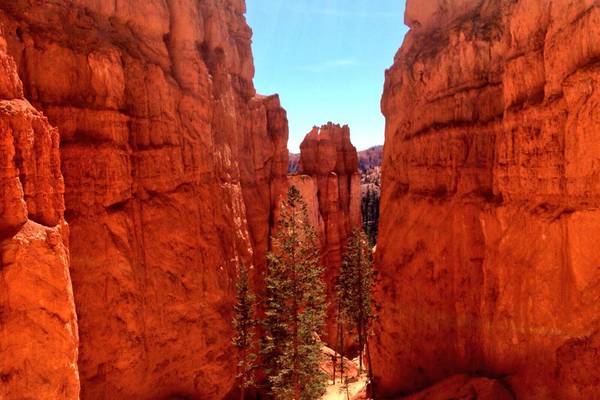 ​Bryce Canyon National Park - Utah - Doets Reizen