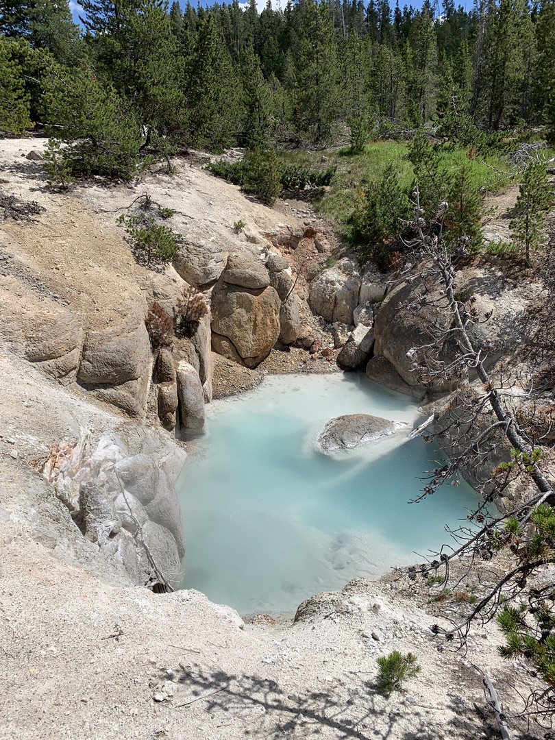 Yellowstone National Park - Wyoming - Doets Reizen