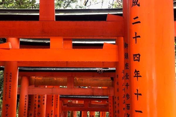 Bamboo Forest - Kyoto - Japan - Doets Reizen