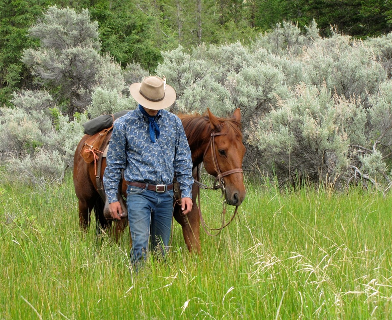 Sundance Guest Ranch - Ashcroft - British Columbia - Canada - Doets Reizen
