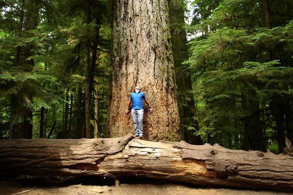 Pacific Rim National Park - Parksville - Vancouver Island - British Columbia - Canada - Doets Reizen